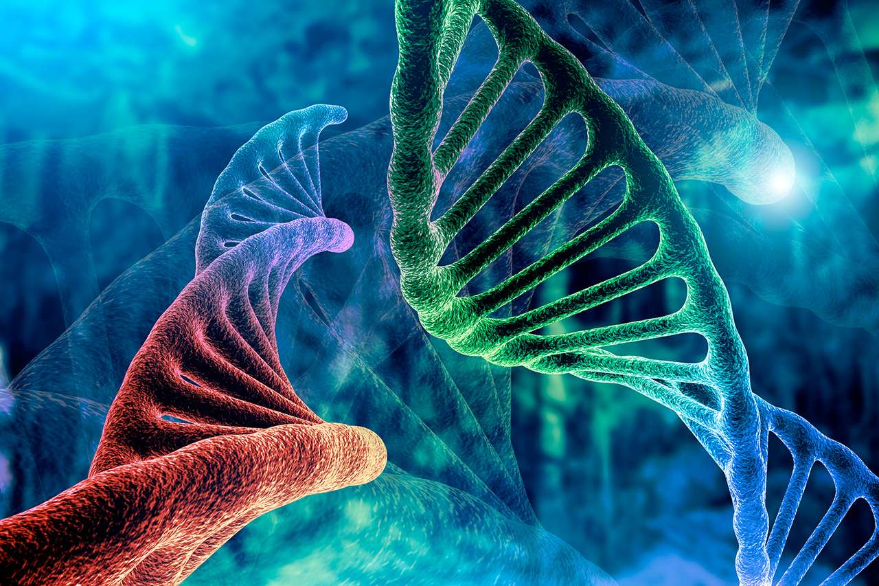 GENETICA DEL DNA puzzle online da foto