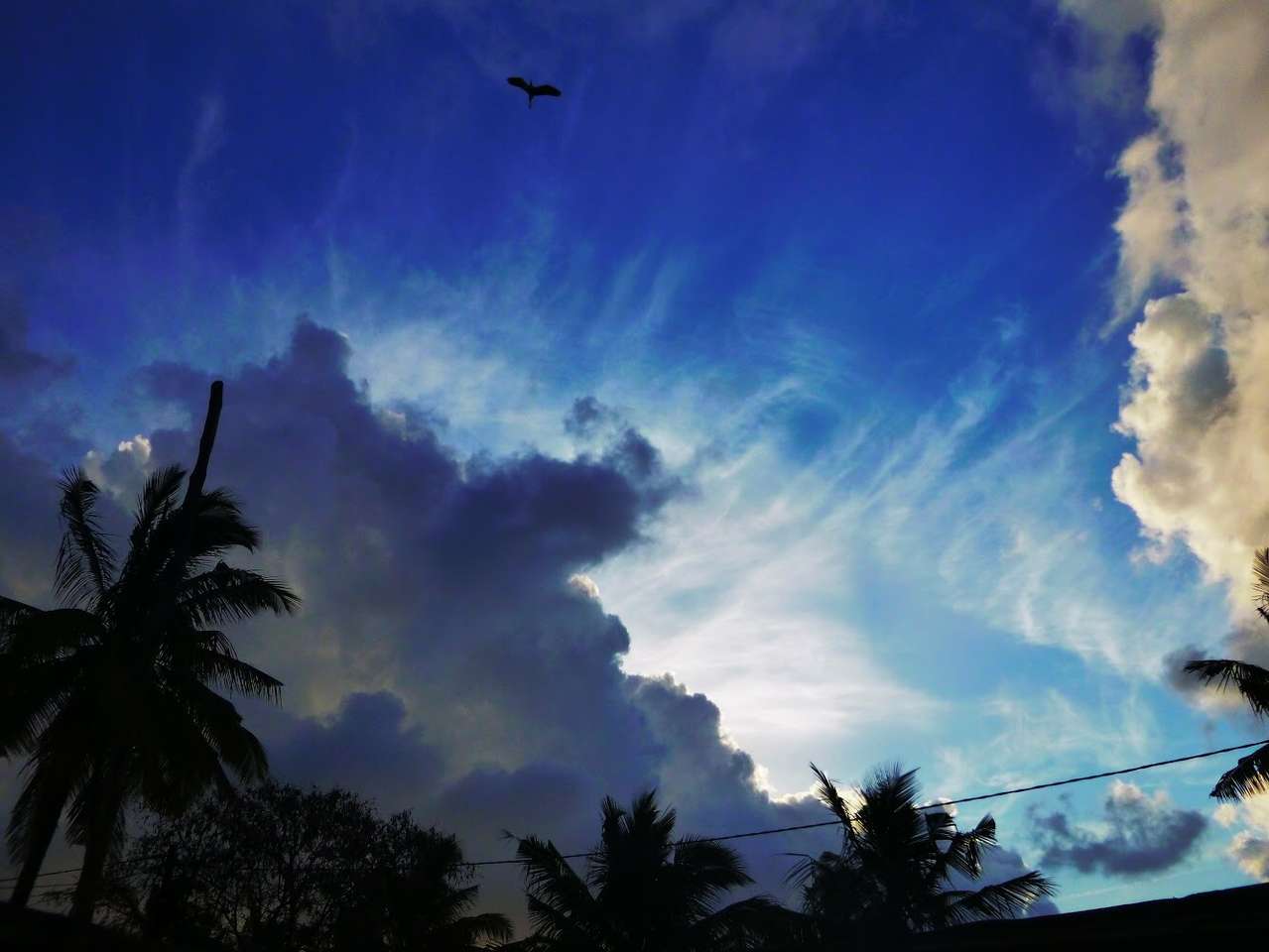 afrikansk himmel pussel online från foto