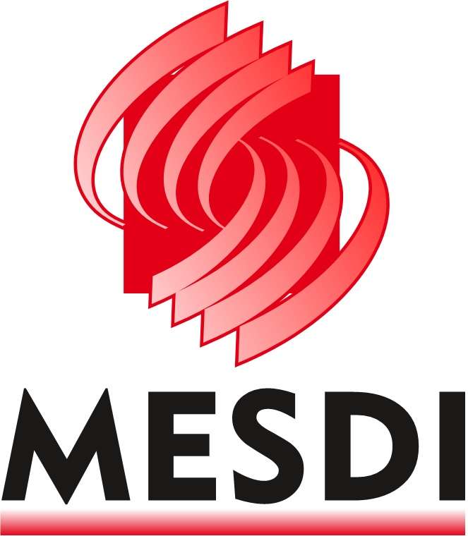 Mesdi logo online puzzle