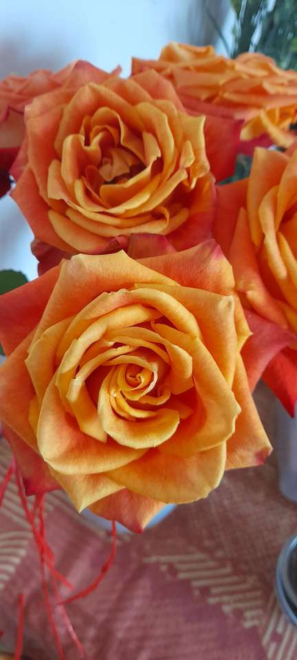 Krásné růže online puzzle