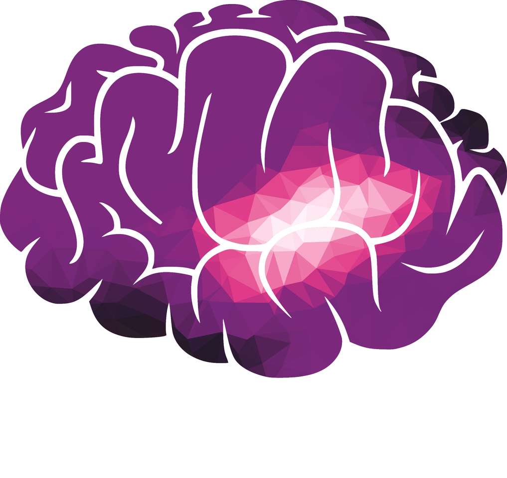 Hjärnpussel 1 pussel online från foto