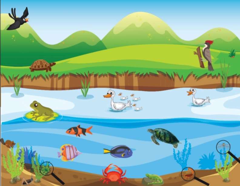 habitat acquatico puzzle online