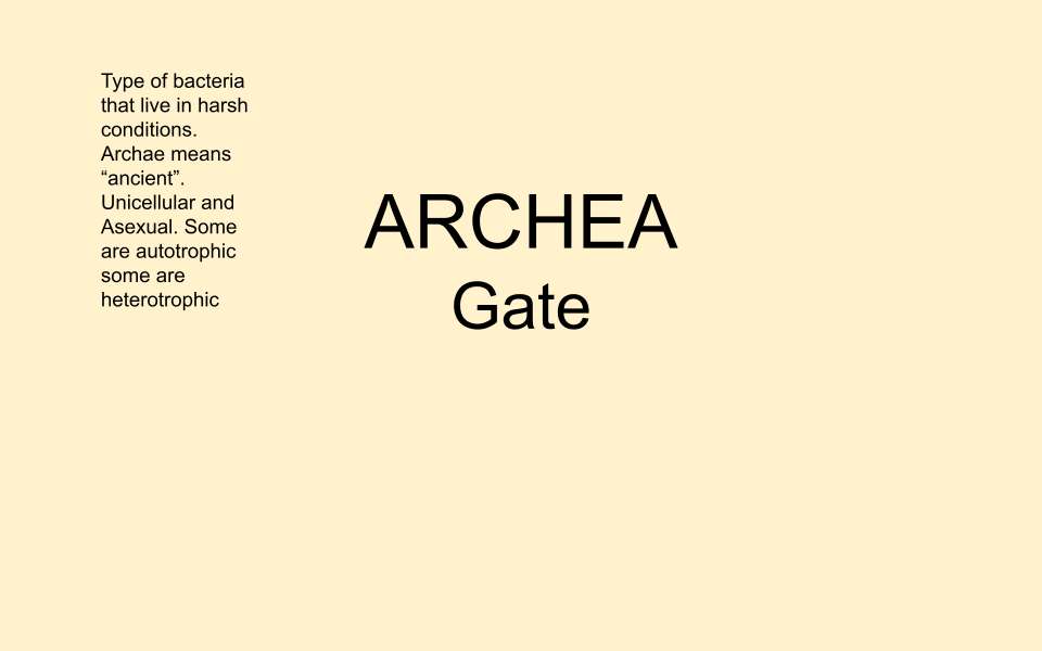 Archea-Notizen Online-Puzzle vom Foto