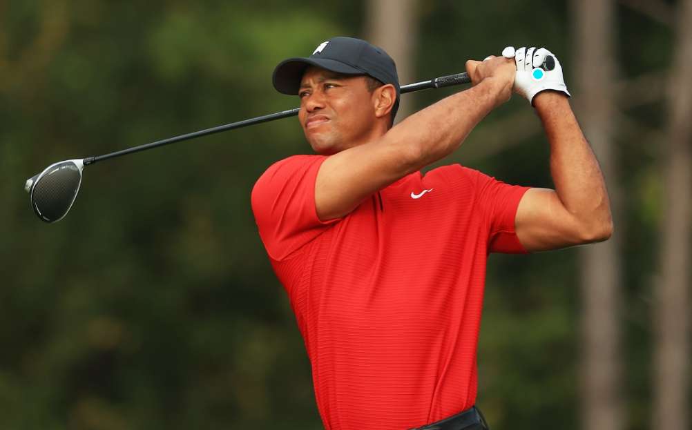 Tiger Woods puzzle online a partir de fotografia