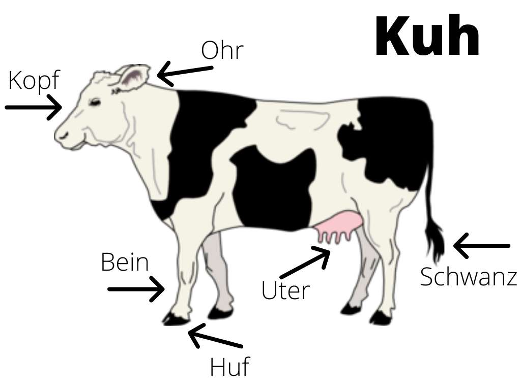 Немецкая головоломка с коровами пазл онлайн из фото