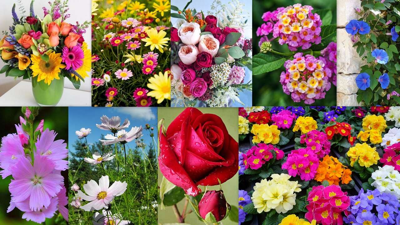 Floral Mix online puzzle