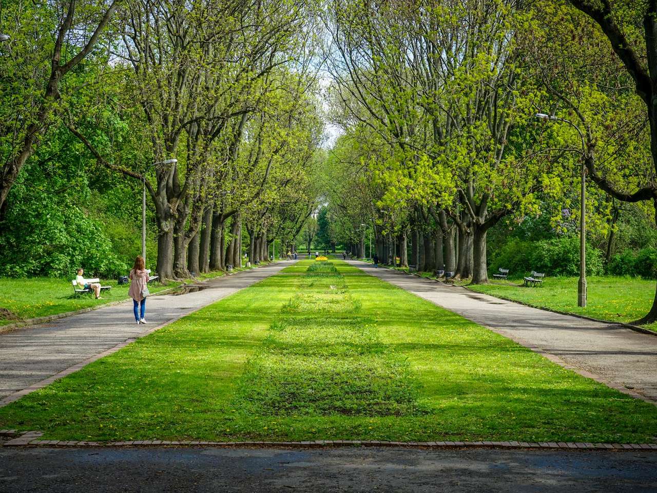 Ein schöner grüner Park dort drüben Online-Puzzle vom Foto