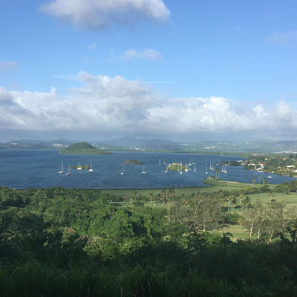 Martinique is een traktatie puzzel online van foto