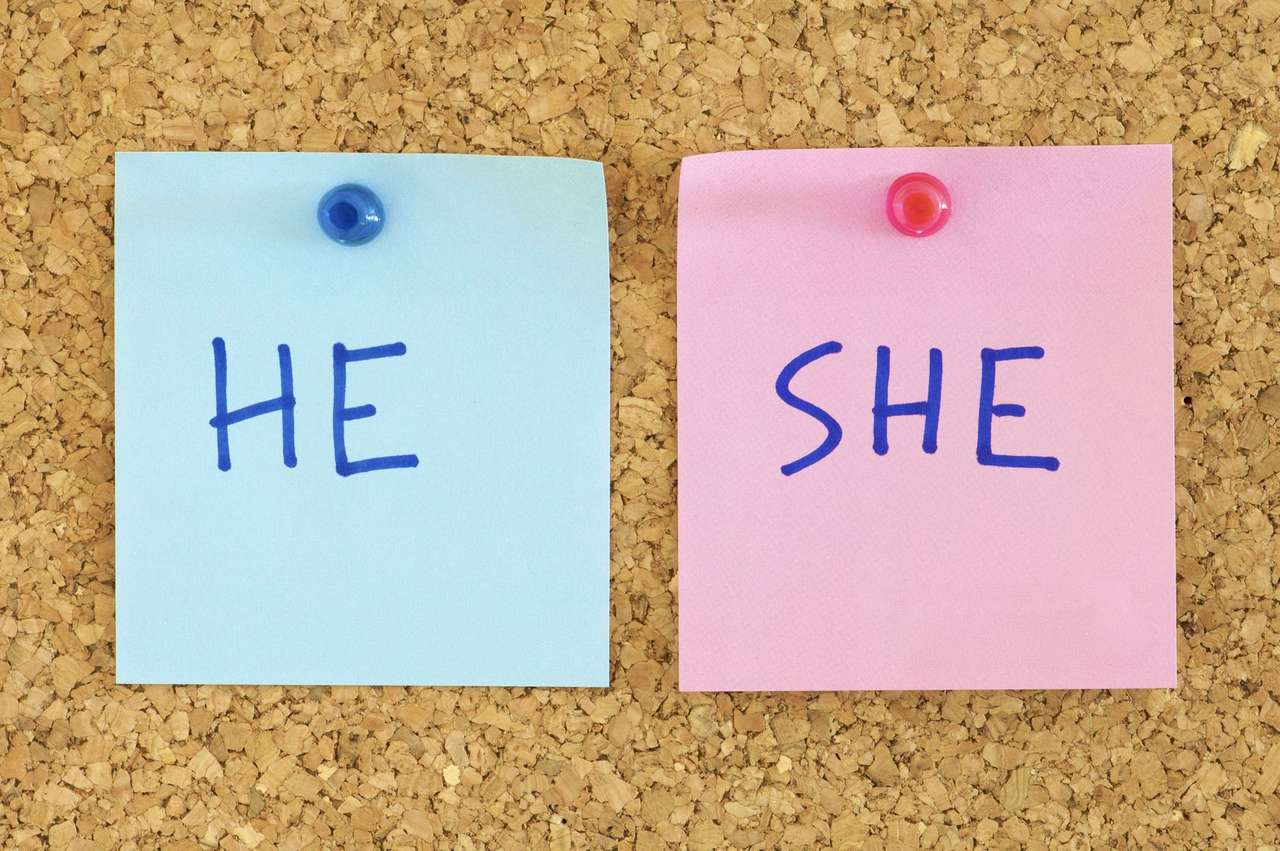 she and he online puzzle