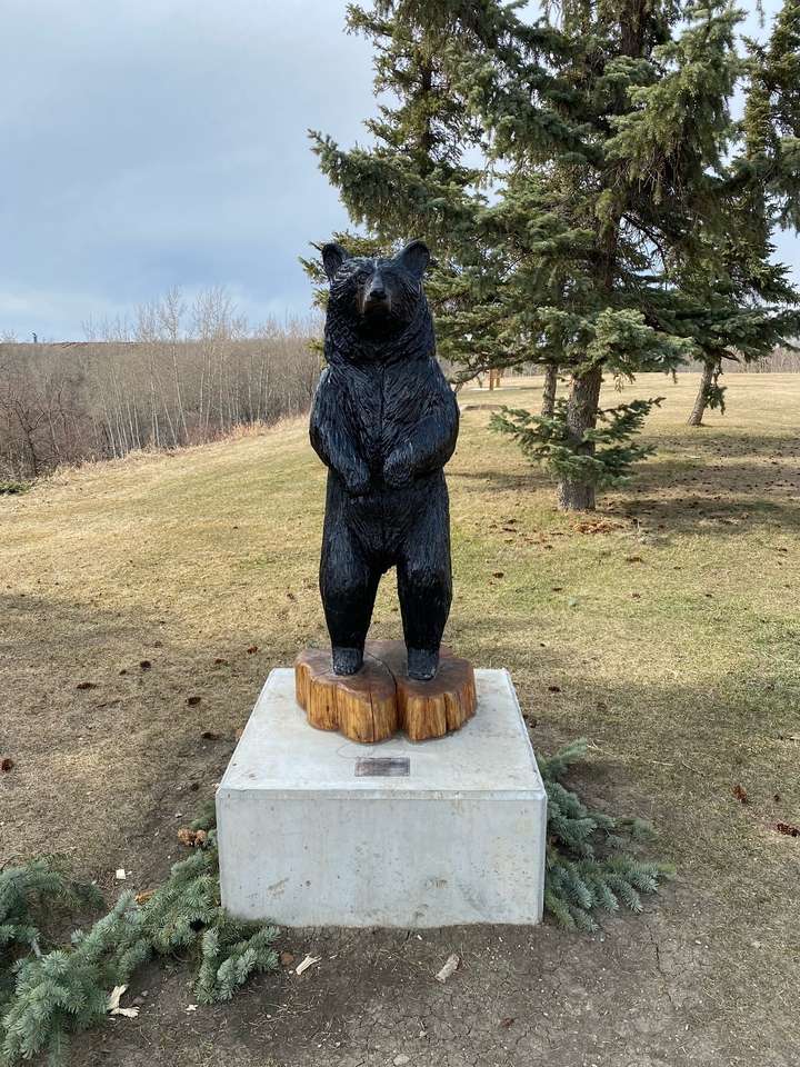 oso en el parque rompecabezas en línea