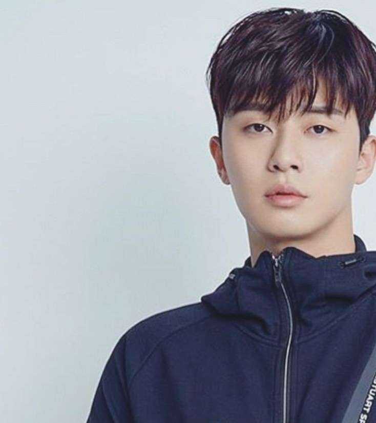 Park Seo Joon rompecabezas en línea