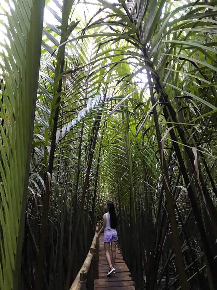 en el bosque rompecabezas en línea