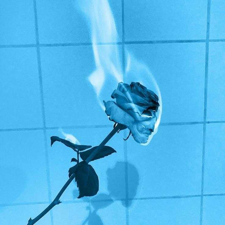 brandende blauwe roos online puzzel