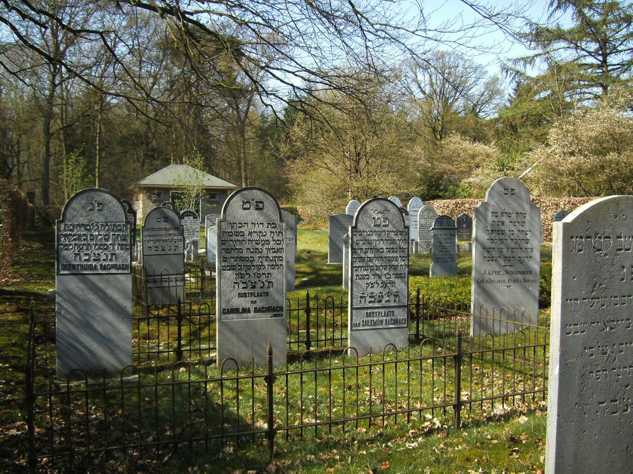 Еврейское кладбище Барневельд онлайн-пазл