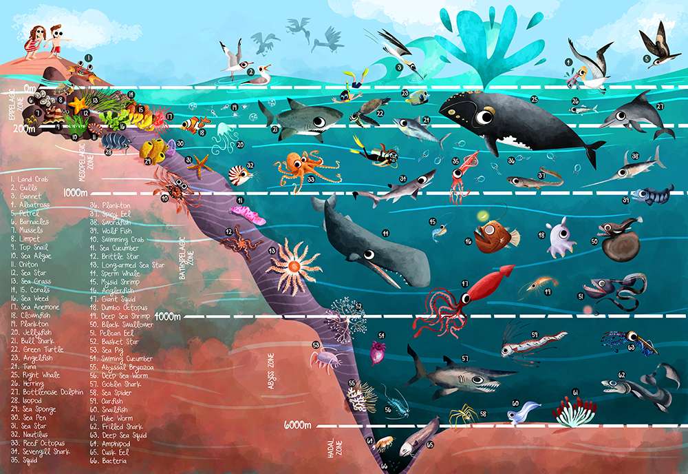 Oceaan diepten puzzel online van foto