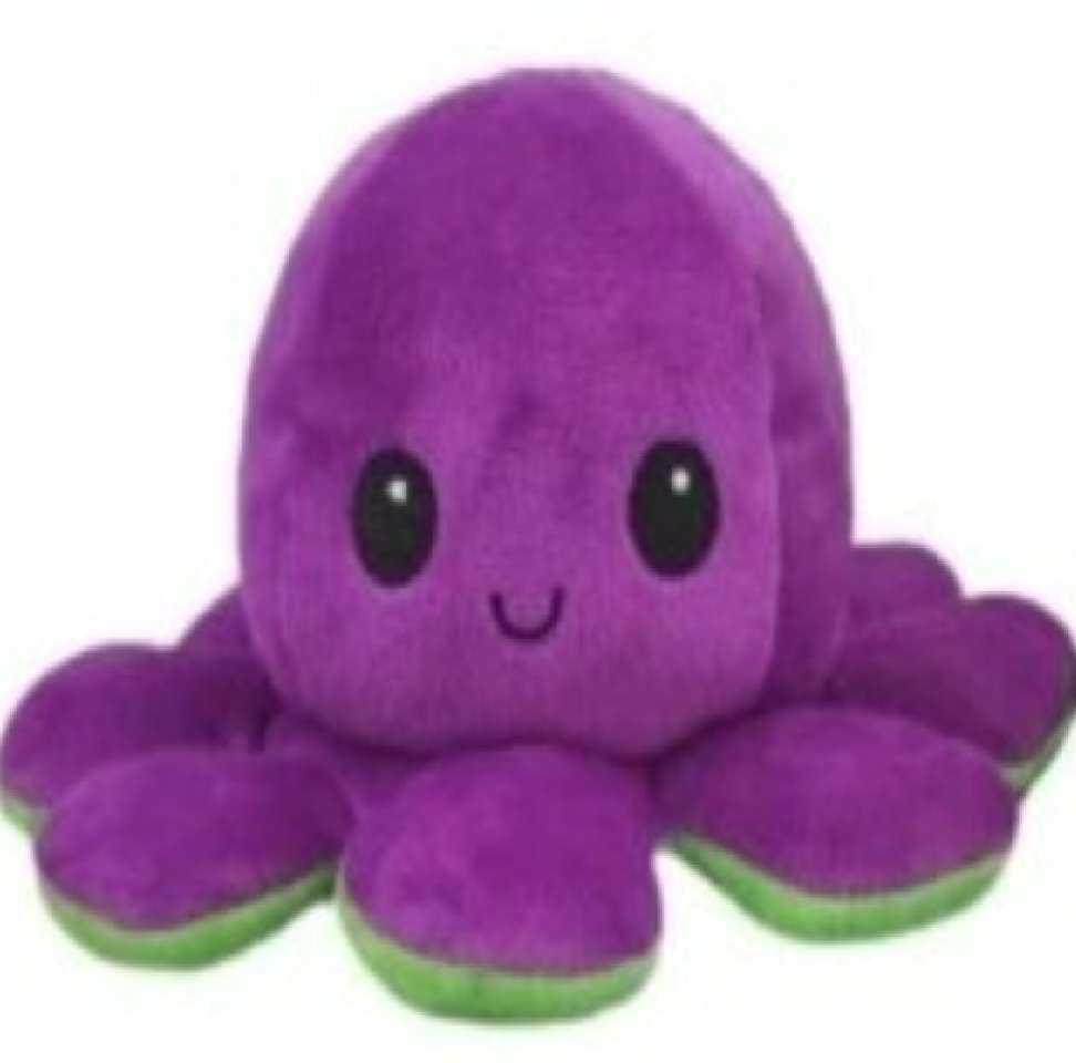 Octopus puzzel online van foto