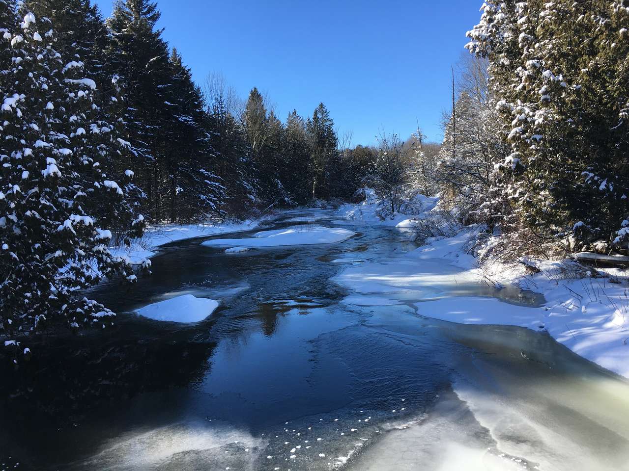 Invierno en los senderos rompecabezas en línea