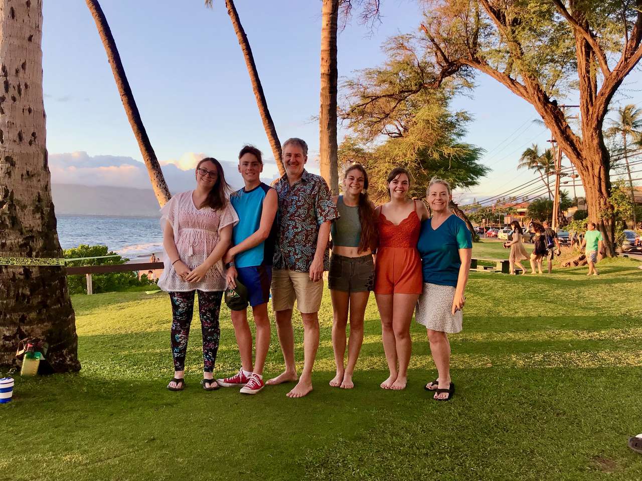 Hawaiiresa pussel online från foto