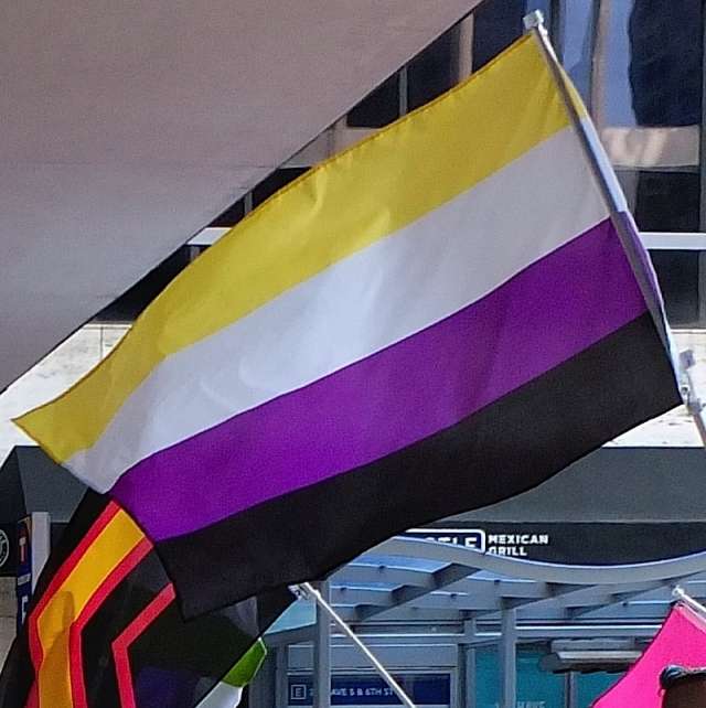 Небинарный флаг гордости онлайн-пазл