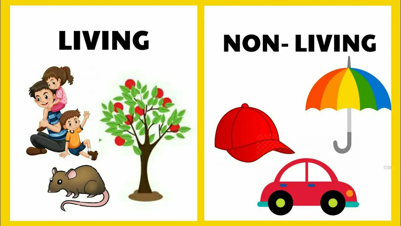 Living Things And Non Living Things Clipart