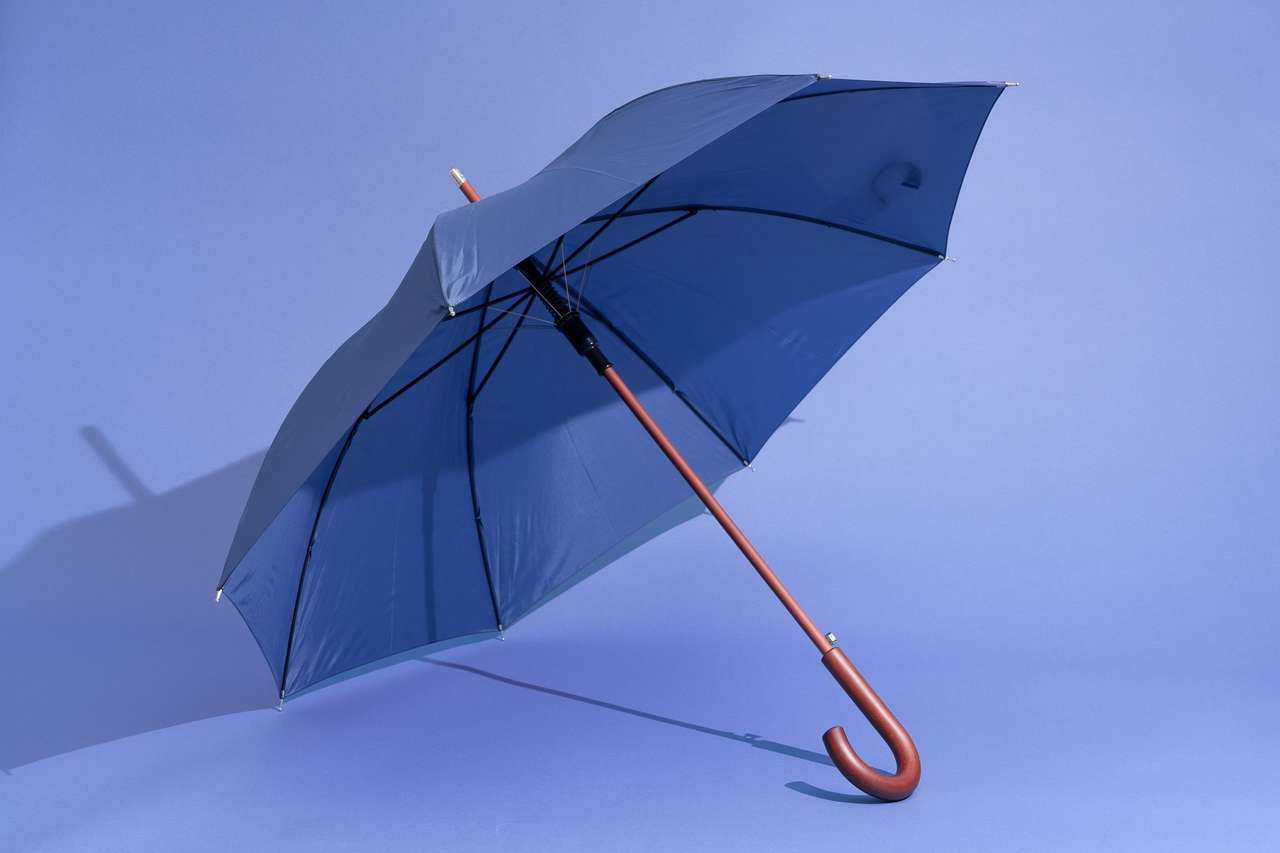 Paraplu online puzzel