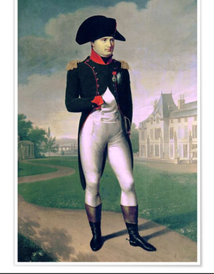 Наполеон пазл онлайн из фото