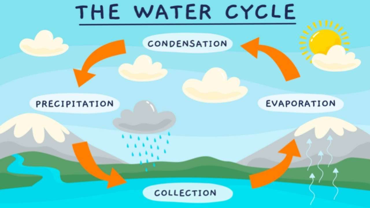 ciclo dell'acqua puzzle online