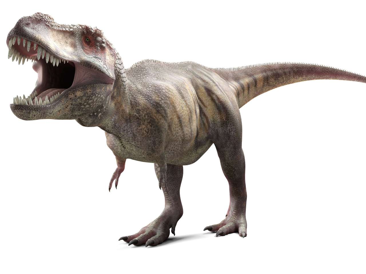robi t-rex pussel online från foto