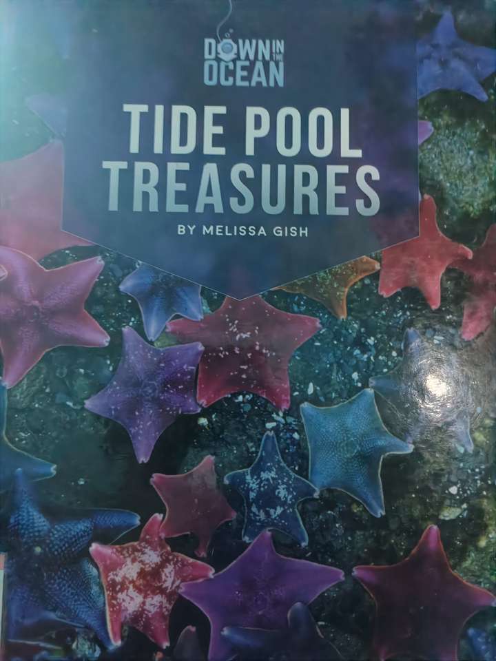 Tide pool treasures online puzzle