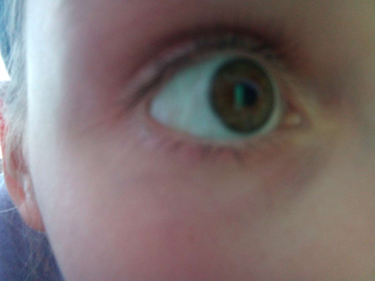 Verde - olhos castanhos puzzle online a partir de fotografia