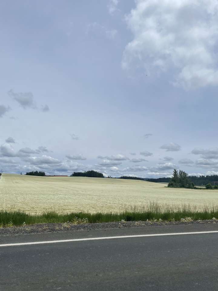 Fält och himmel pussel online från foto