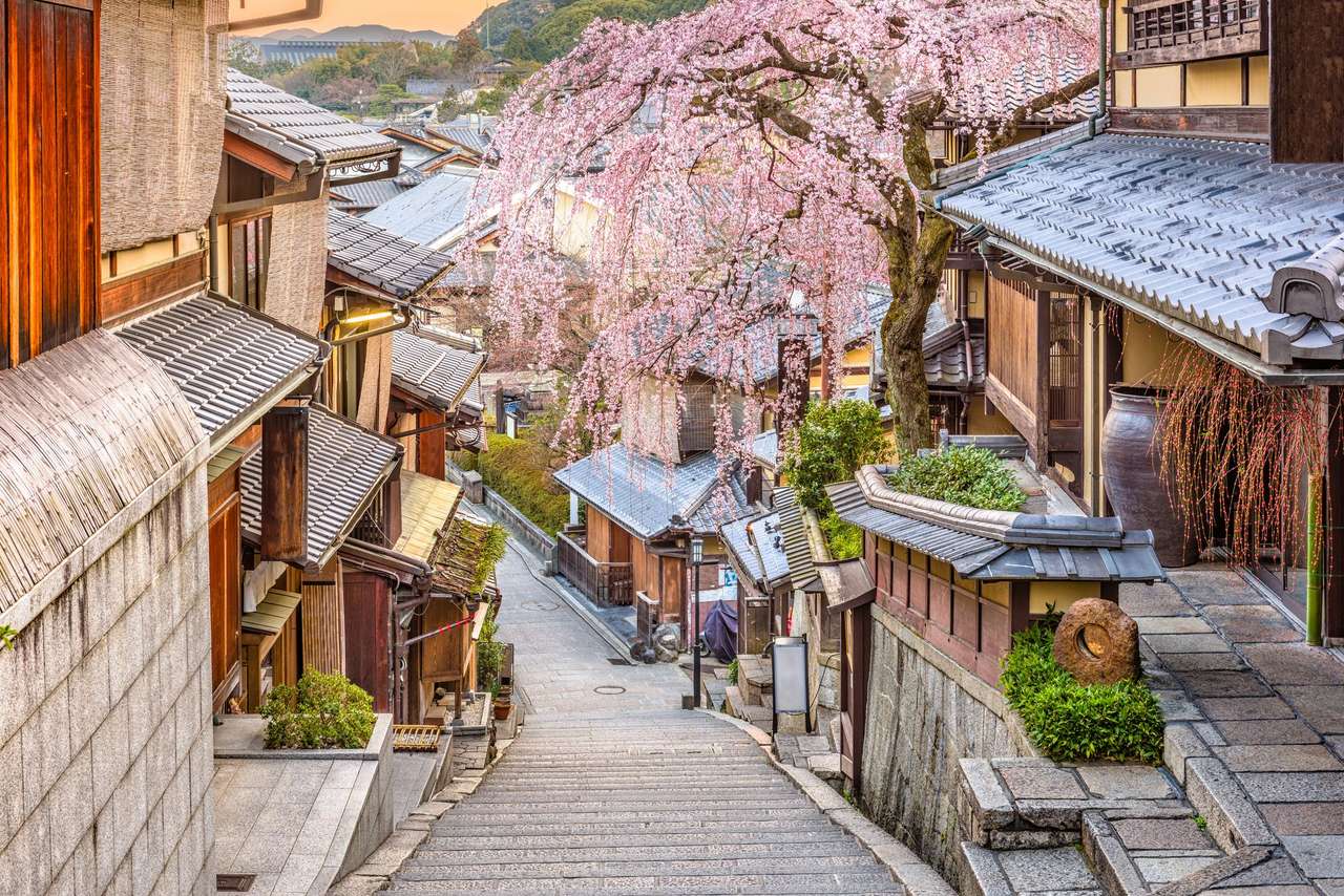 Cherry Blossom puzzle online from photo