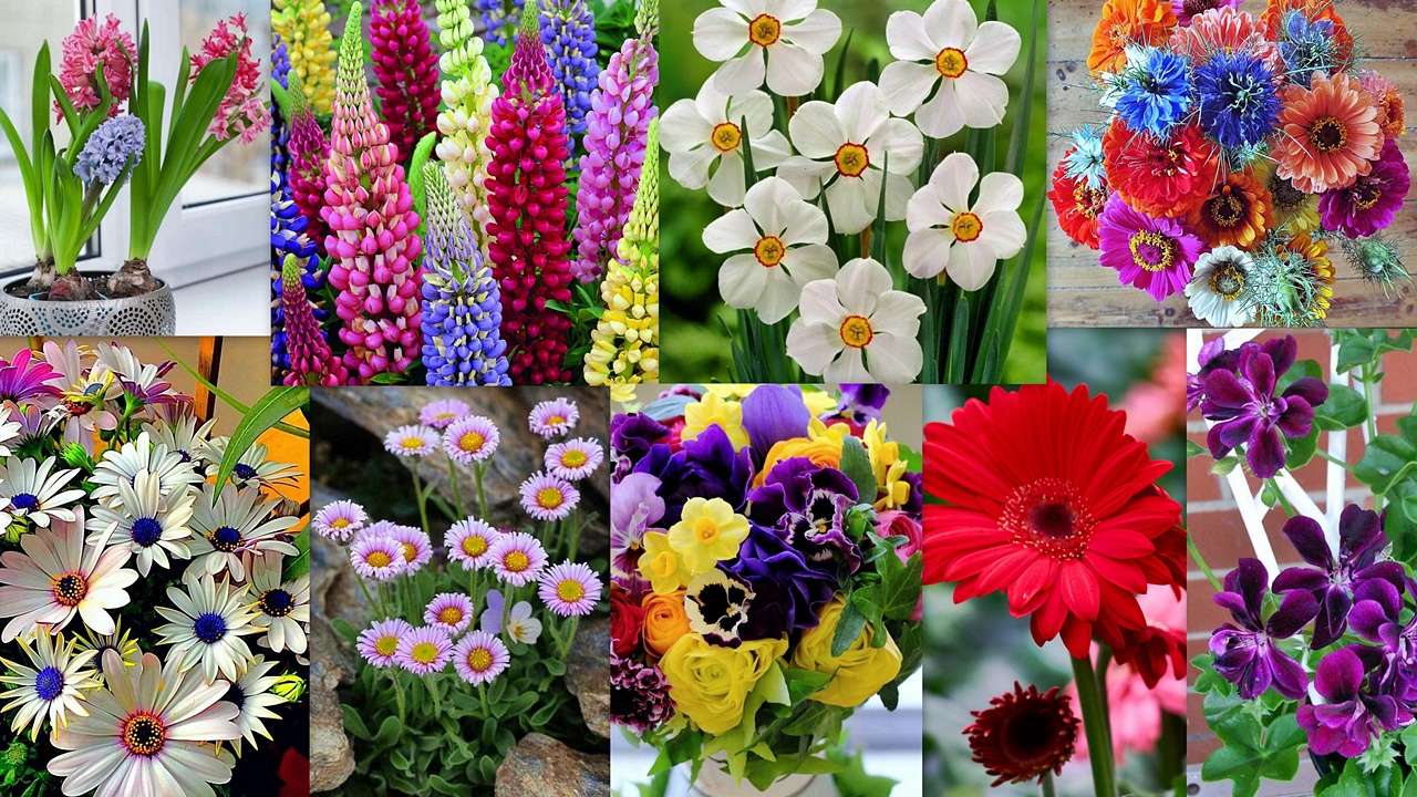 Mix floral puzzle online