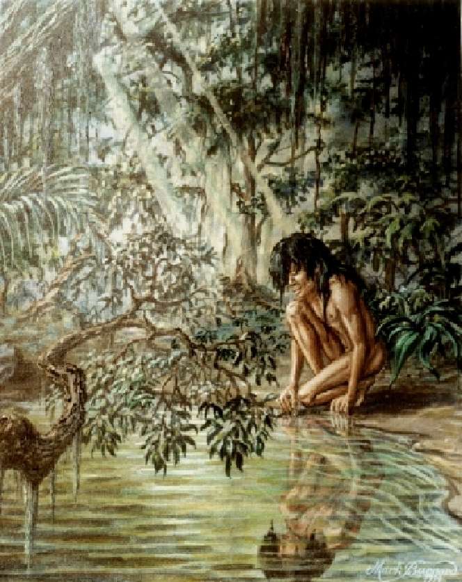 Mowgli looking at water puzzle online from photo