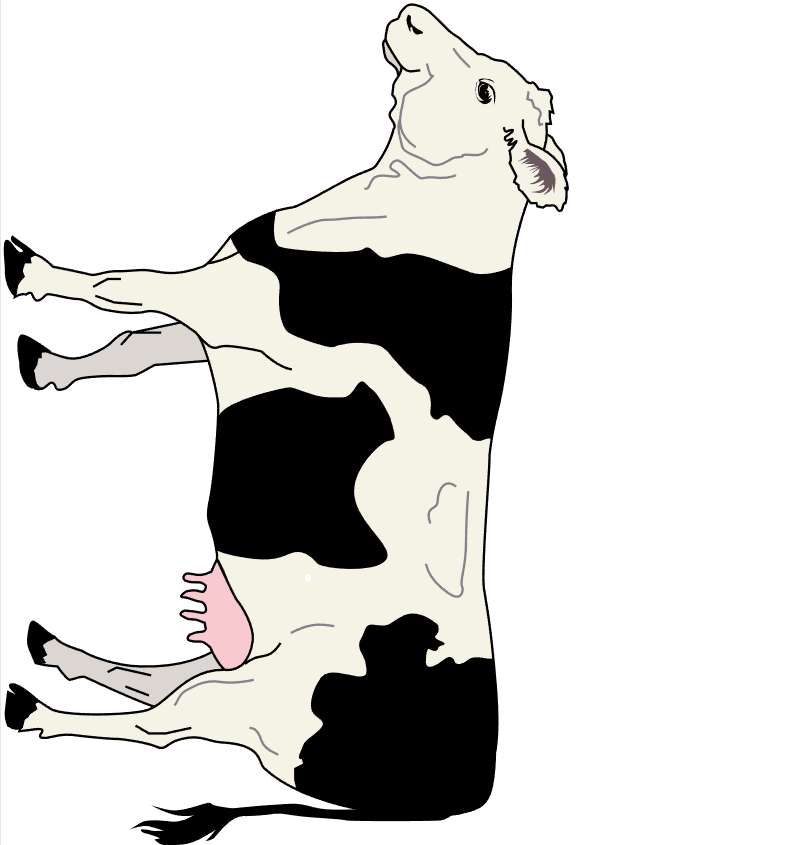 Karikatura krávy online puzzle