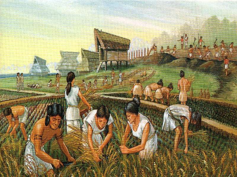 Cultura Maya - Agricultura puzzel online van foto
