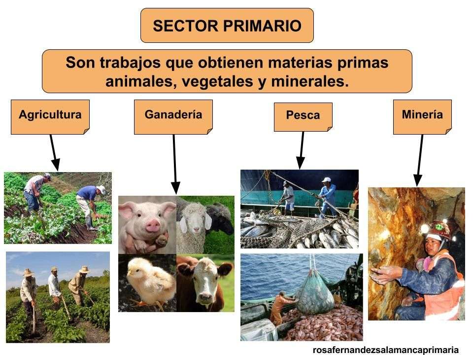 Sector Primario puzzle online a partir de foto