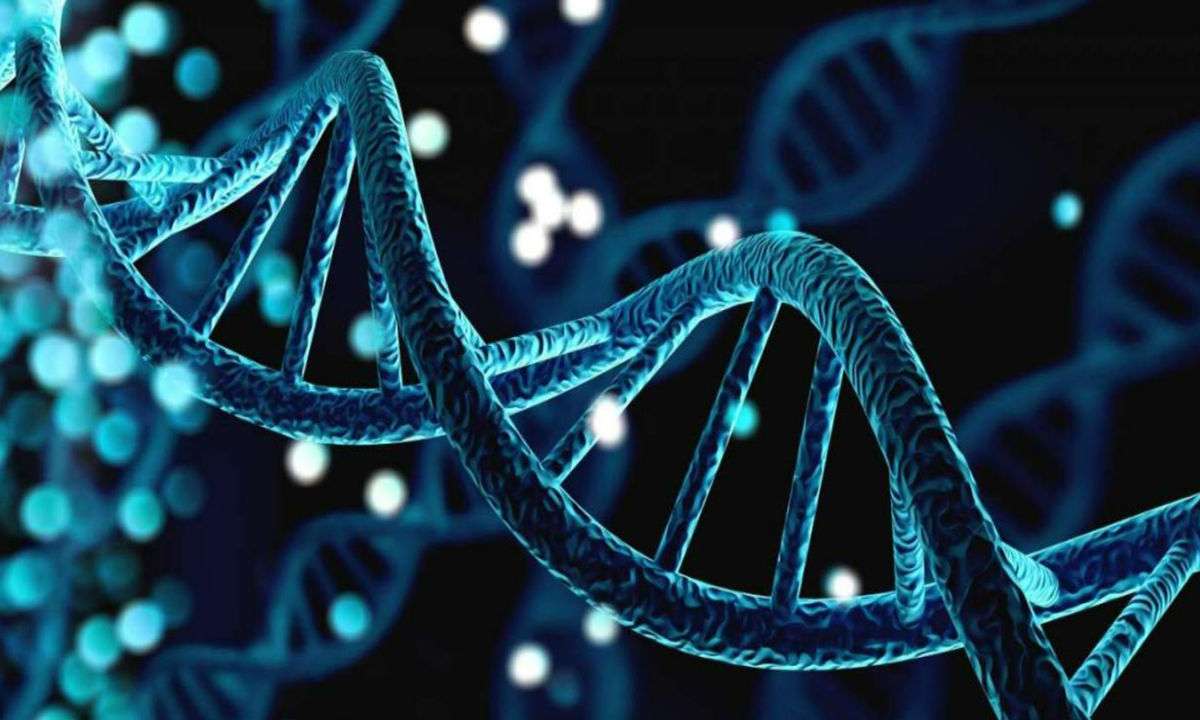 DNA-struktur pussel online från foto