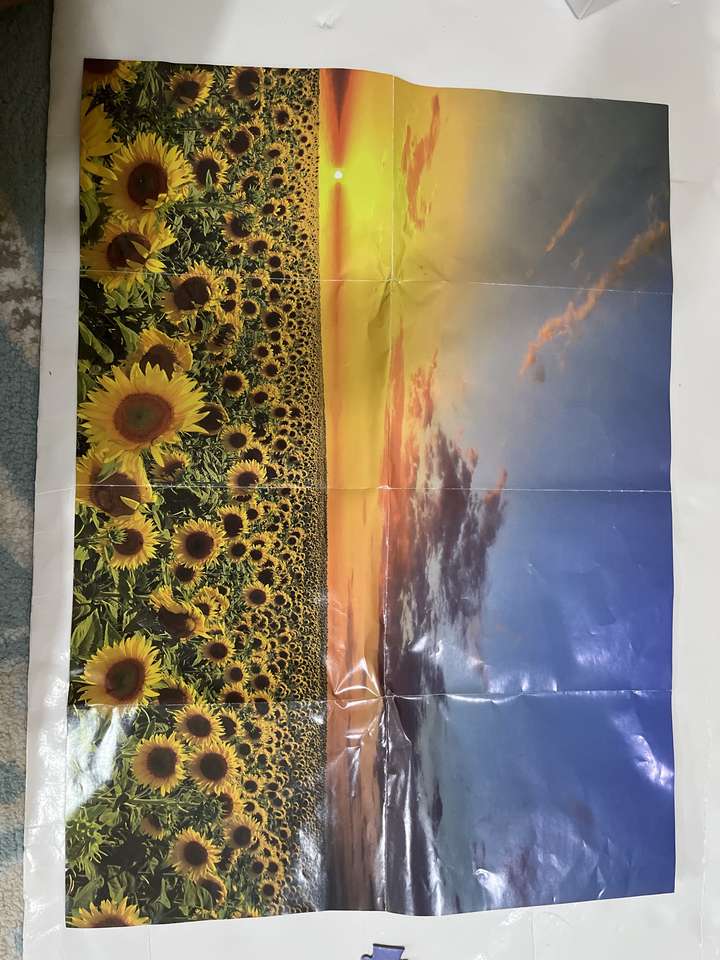 Floarea soarelui puzzle online din fotografie
