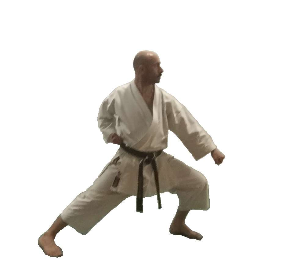 Karate Shotokan ZenkutsoDachi rompecabezas en línea