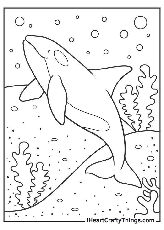 クジラパズル 写真からオンラインパズル