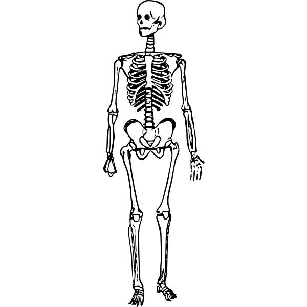 Skelettet pussel online från foto