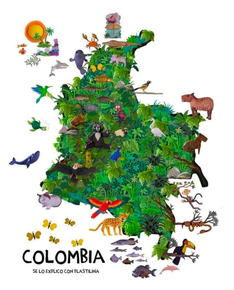 Animal columbian puzzle online