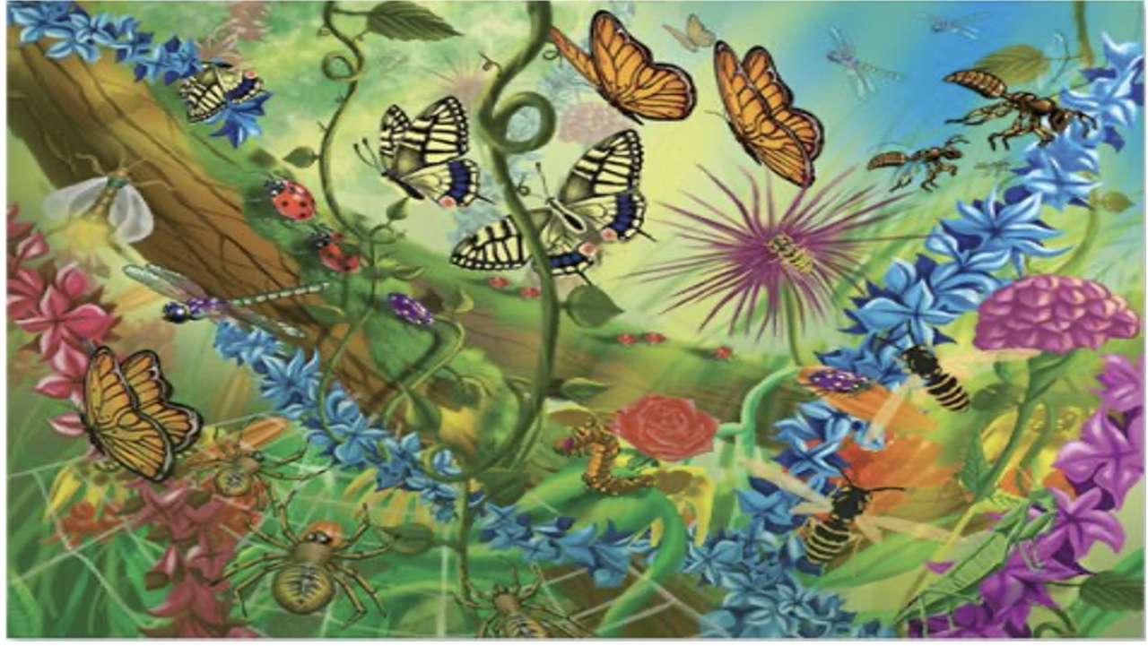 Жуки-метелики скласти пазл онлайн з фото