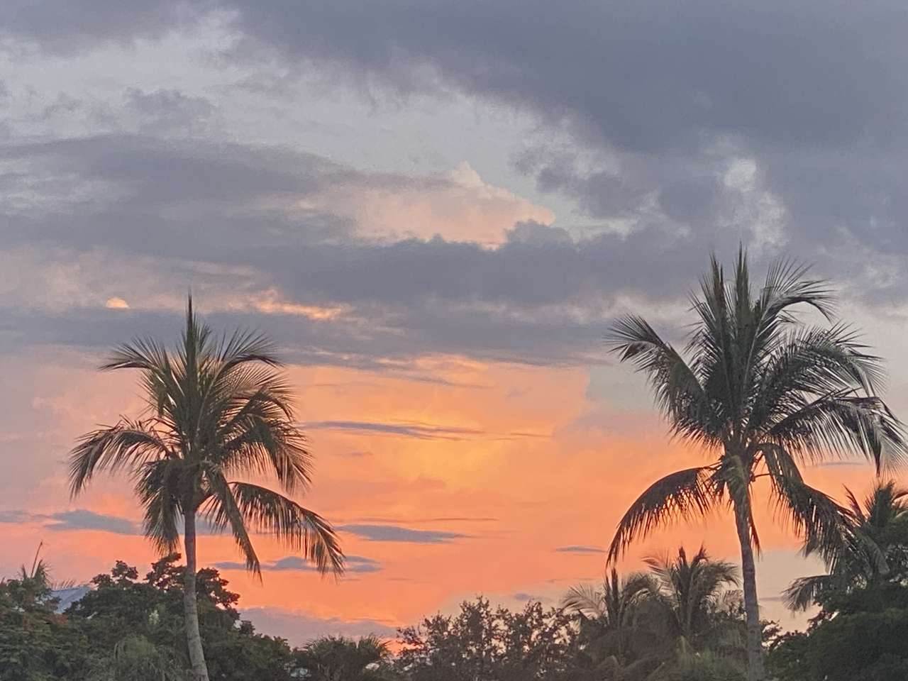 Sanibel coucher de soleil puzzle en ligne à partir d'une photo