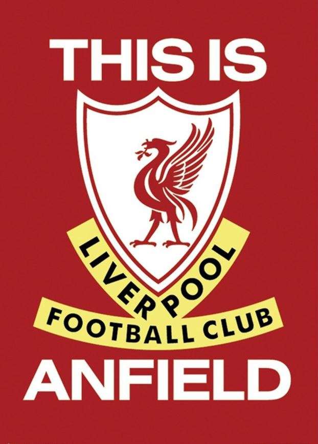 thisd is anfield puzzle online from photo