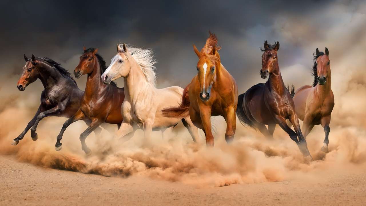 Horses Puzzle puzzle online from photo