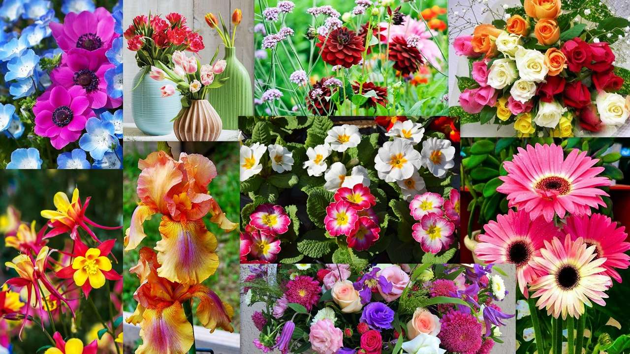 Mix floral puzzle online a partir de fotografia