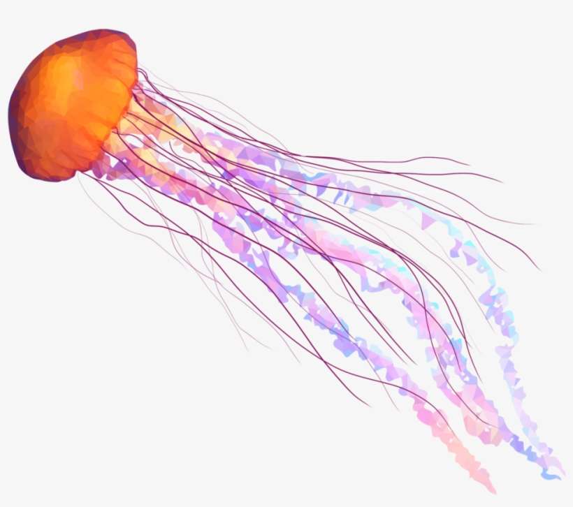 медуза онлайн пъзел