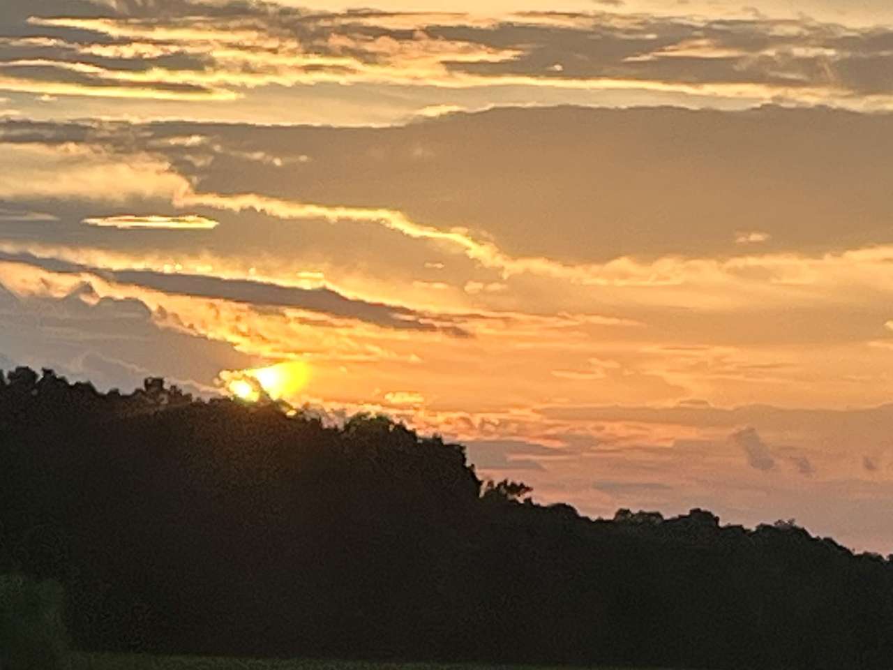 Літній захід сонця скласти пазл онлайн з фото